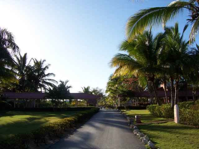 bavaro.jpg