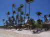 bavarobeach2_small.jpg