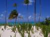 bavarobeach3_small.jpg