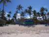 bavarobeach6_small.jpg