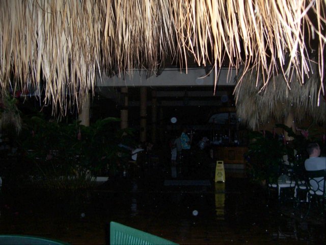 blackoutfirstevening.jpg