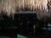 blackoutfirstevening_small.jpg