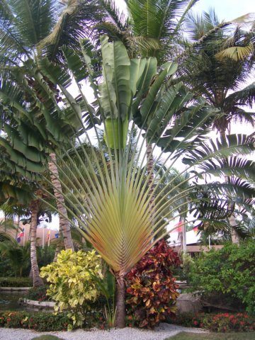 lakebavaro2.jpg