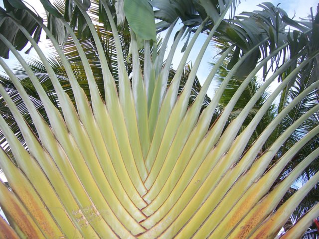 lakebavaro4.jpg