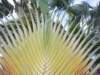 lakebavaro4_small.jpg