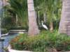 lakebavaro5_small.jpg