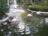lakebavaro6_small.jpg