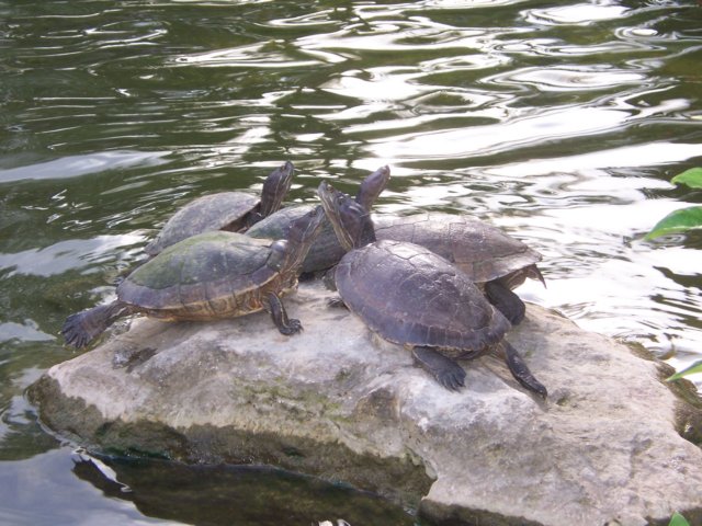 lakebavaro7.jpg