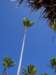 palme3_small.jpg