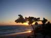 sunrise14_small.jpg