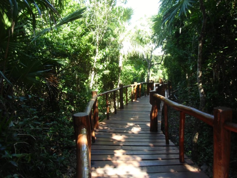 anotherbridge.jpg