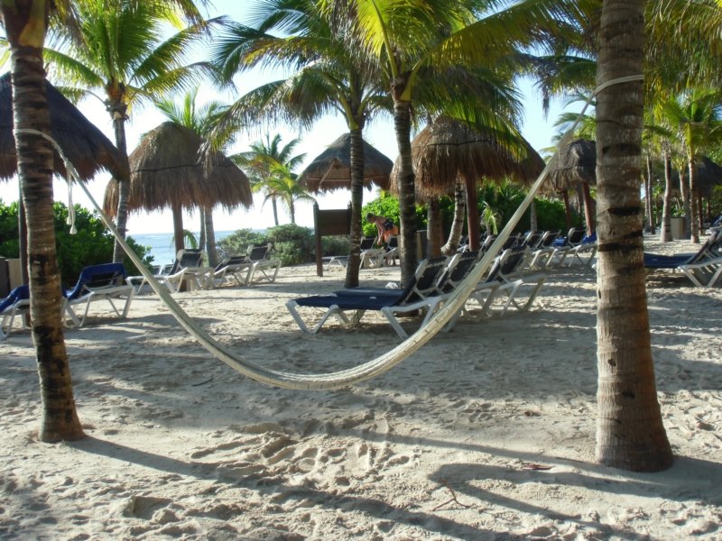 hammock.jpg