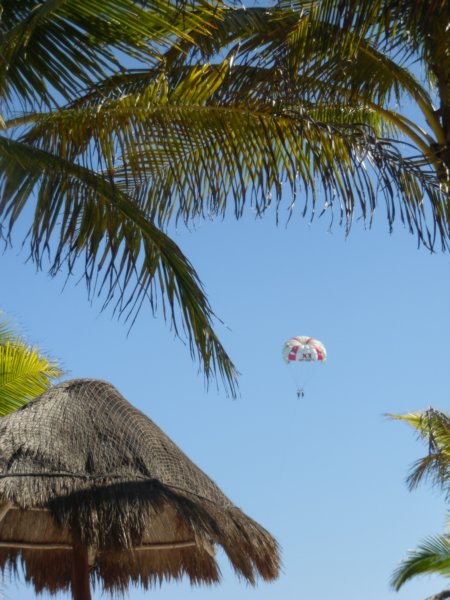 paraglider.jpg
