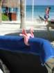 photo7_small.jpg